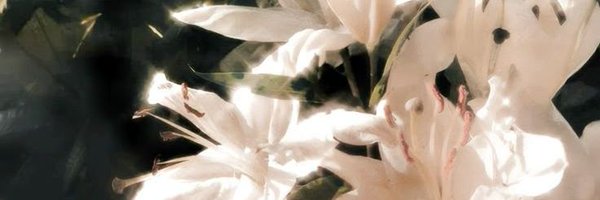 julpiterverso Profile Banner