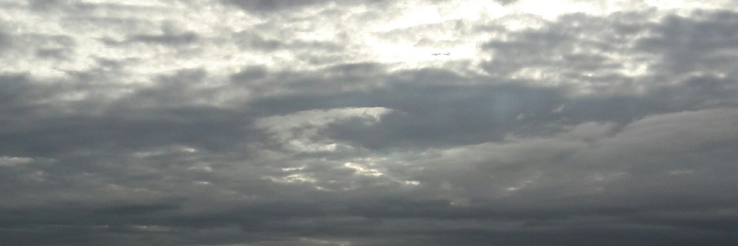 LMTerrabusi's profile banner image