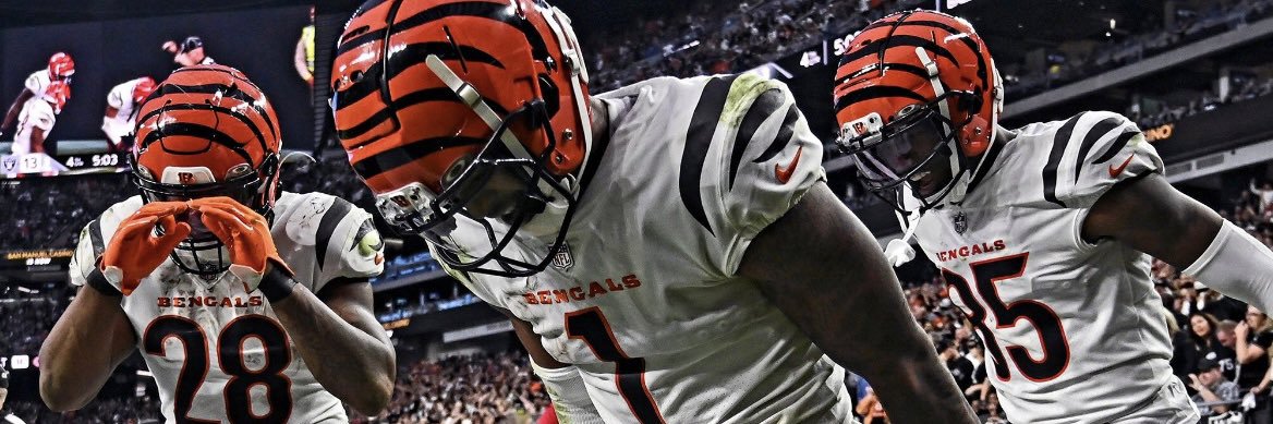 JANUARY JOE 🧊 banner