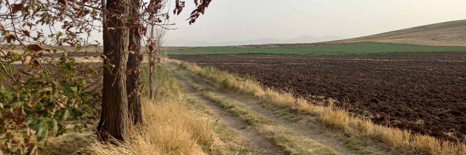 عَ‌لَ‌سْی banner