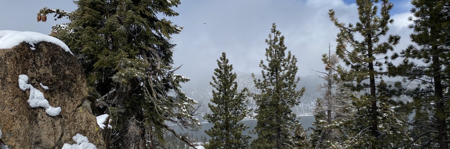 tayrosehill's profile banner image