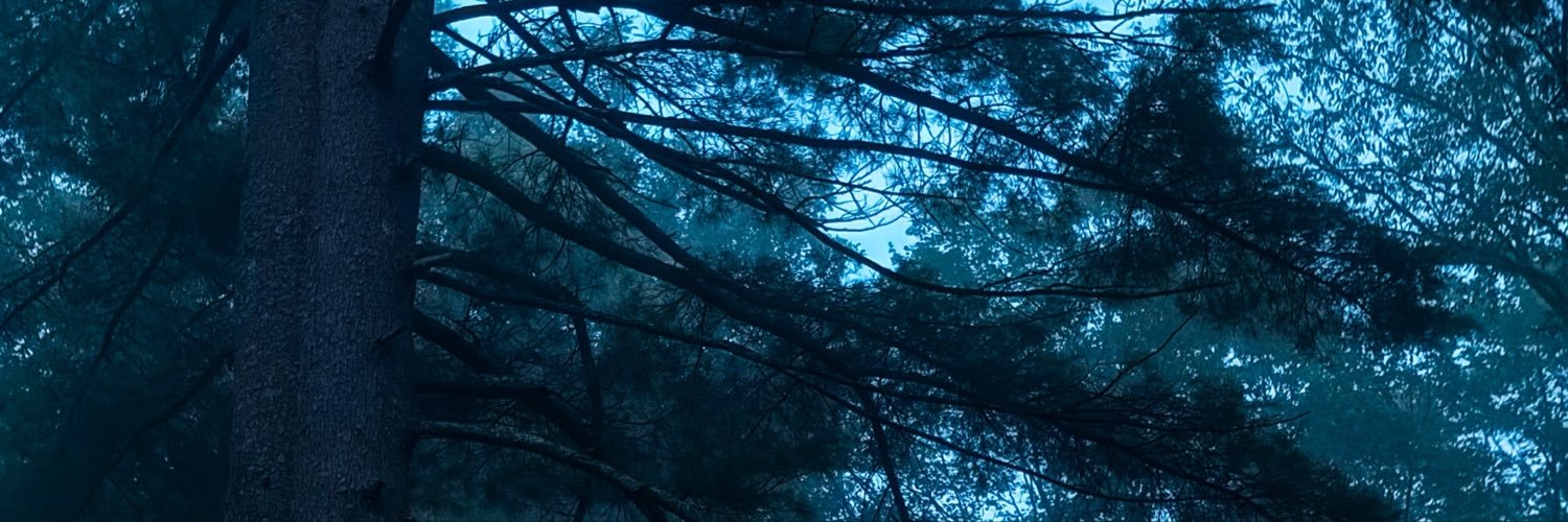kileyabender's profile banner image