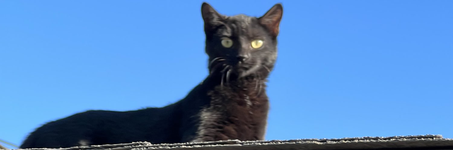 rayknotraymond's profile banner image