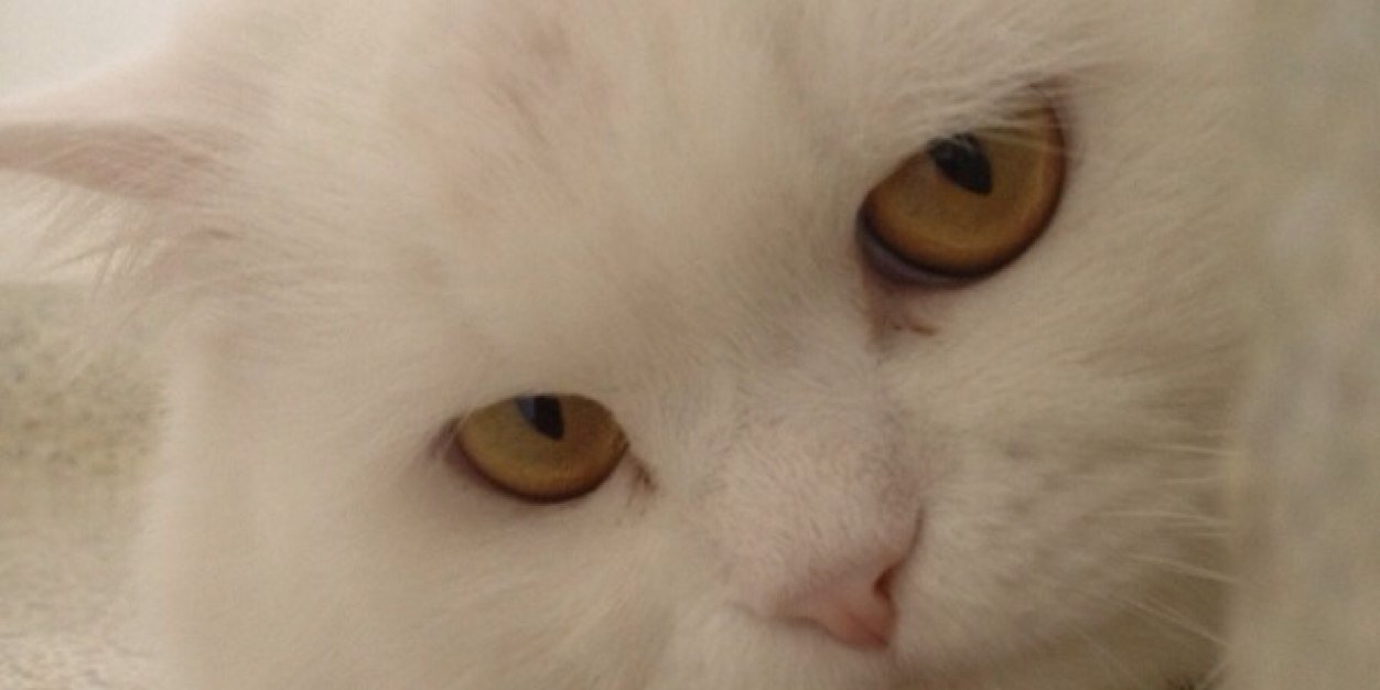julians023's profile banner image