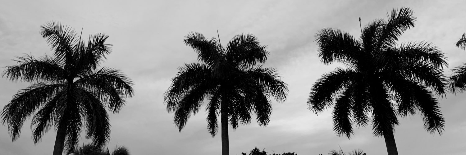 mauricedalen's profile banner image