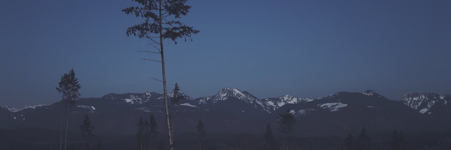 MichxelD's profile banner image