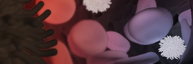encephaloCS's profile banner image