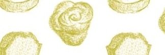 kibicafe's profile banner image