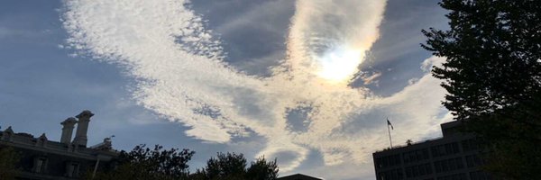 XihanZhang1 Profile Banner