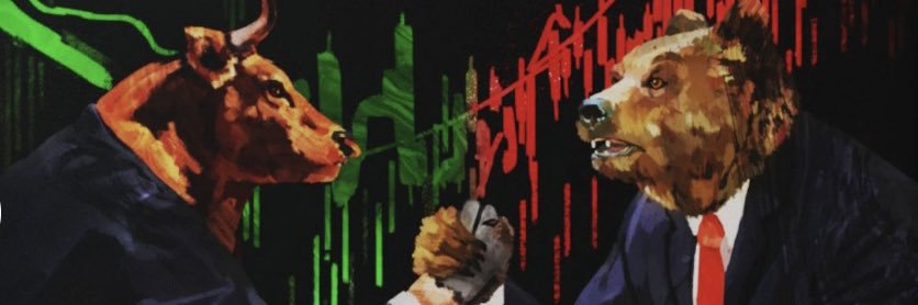 FibSurfer's profile banner image