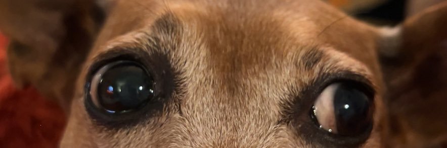 JackDaBoss11's profile banner image