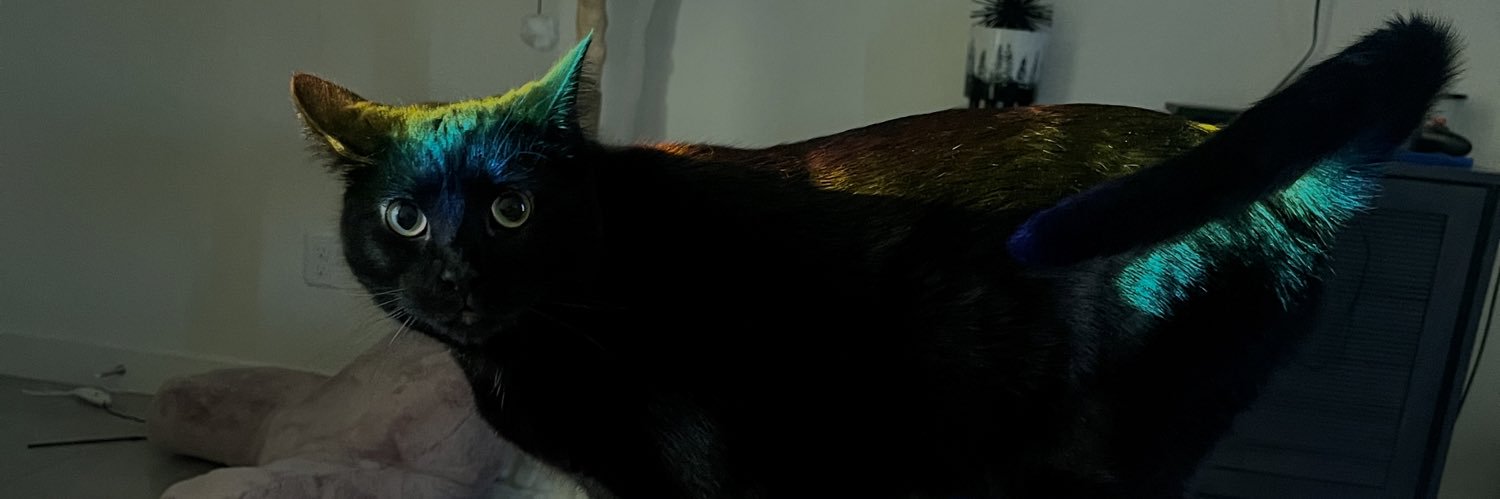 Alllyyssssaa's profile banner image