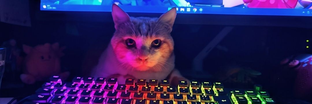 Jarakoo's profile banner image
