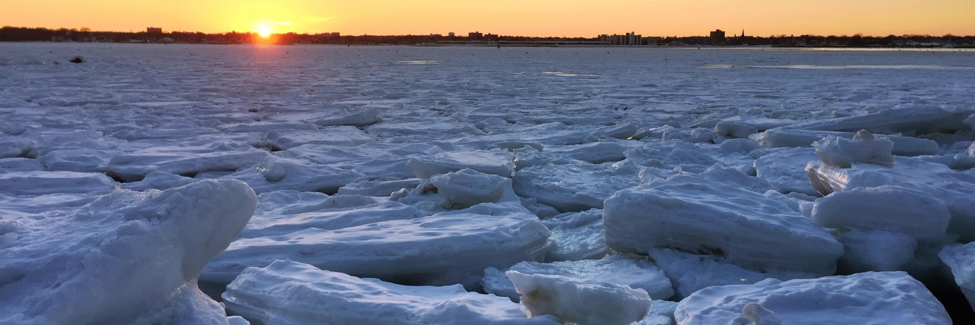 𝚁𝚘𝚋 𝙳𝚊𝚢 banner