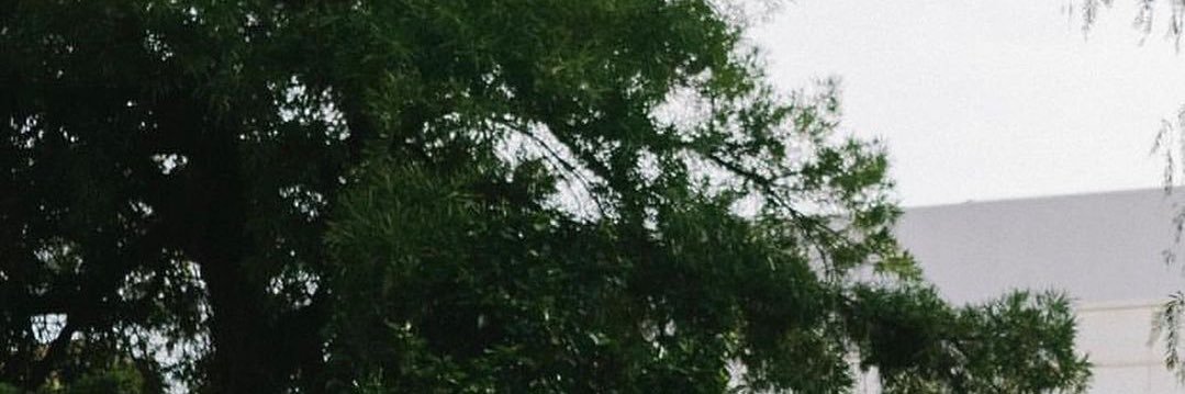 ´ banner