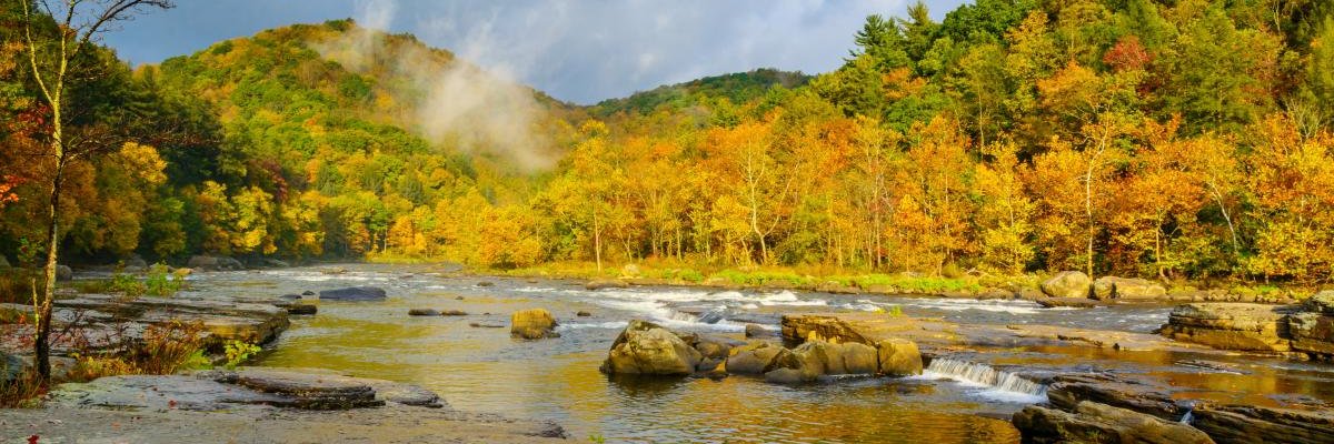 Elmer F Gantry banner