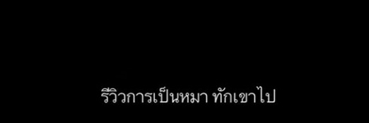 太阳 banner