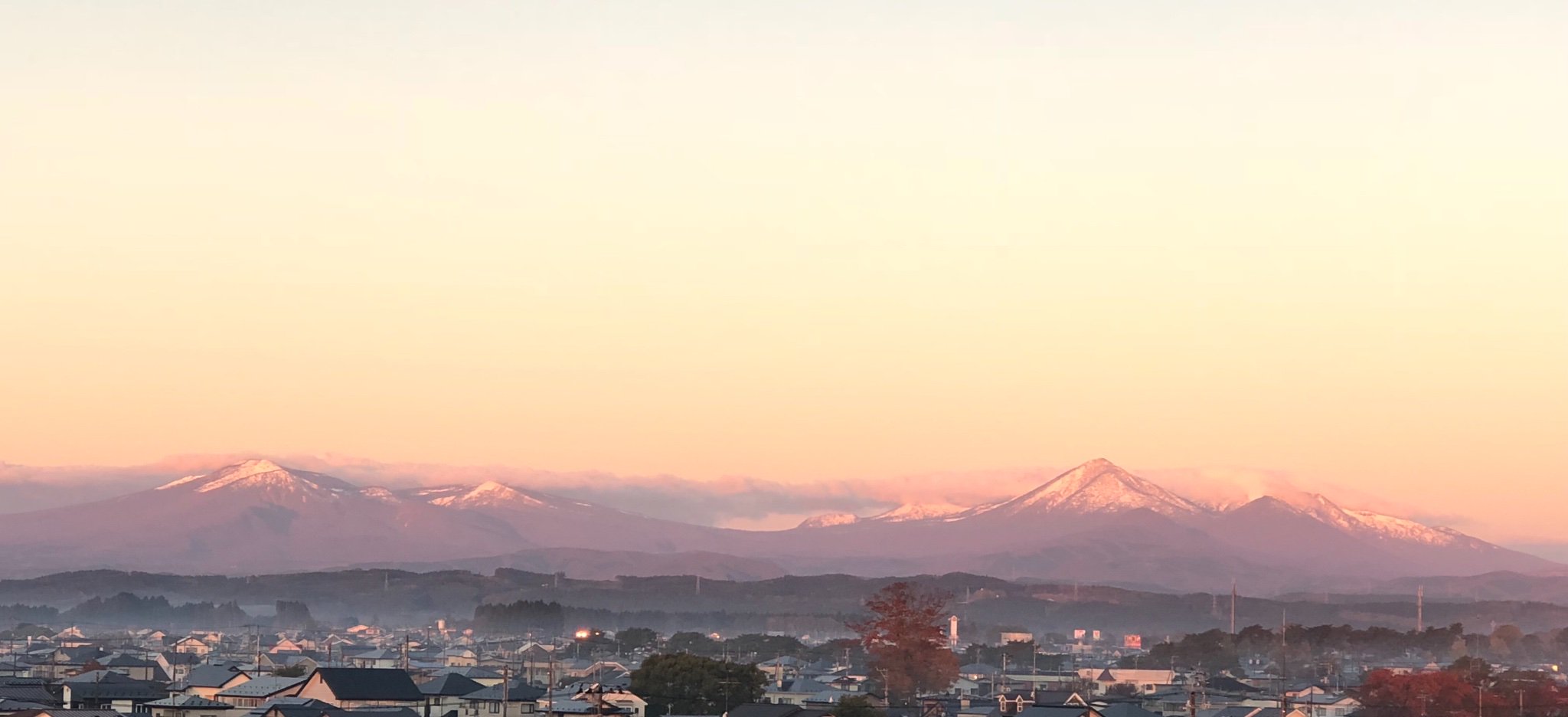 e.b.i bass watanabe banner