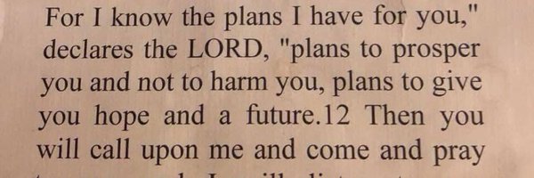 DinaFerrara1 Profile Banner