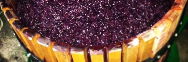 Flavours of Spain banner