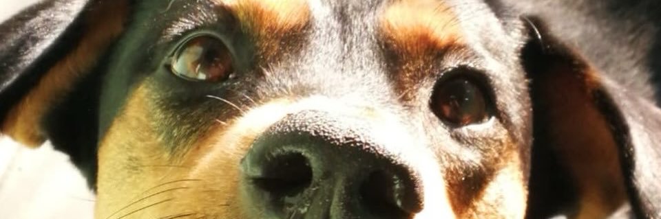 sofffid's profile banner image