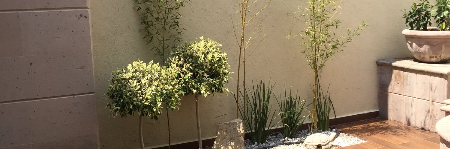 Marcela Pámanes banner