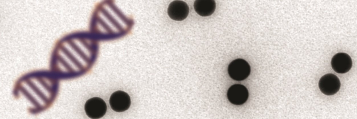 Guillermo Acuna Lab banner