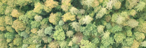 waldlabor Profile Banner