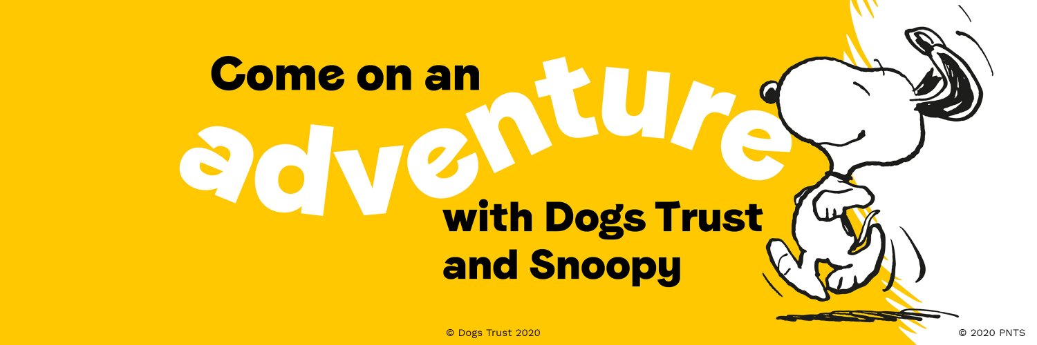 A Dog’s Trail banner