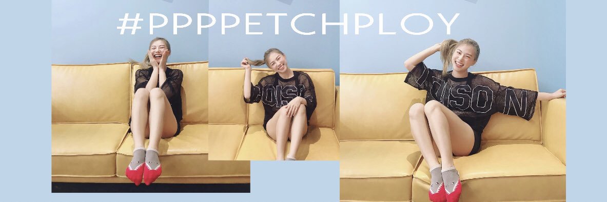 ppppetchploy's profile banner image