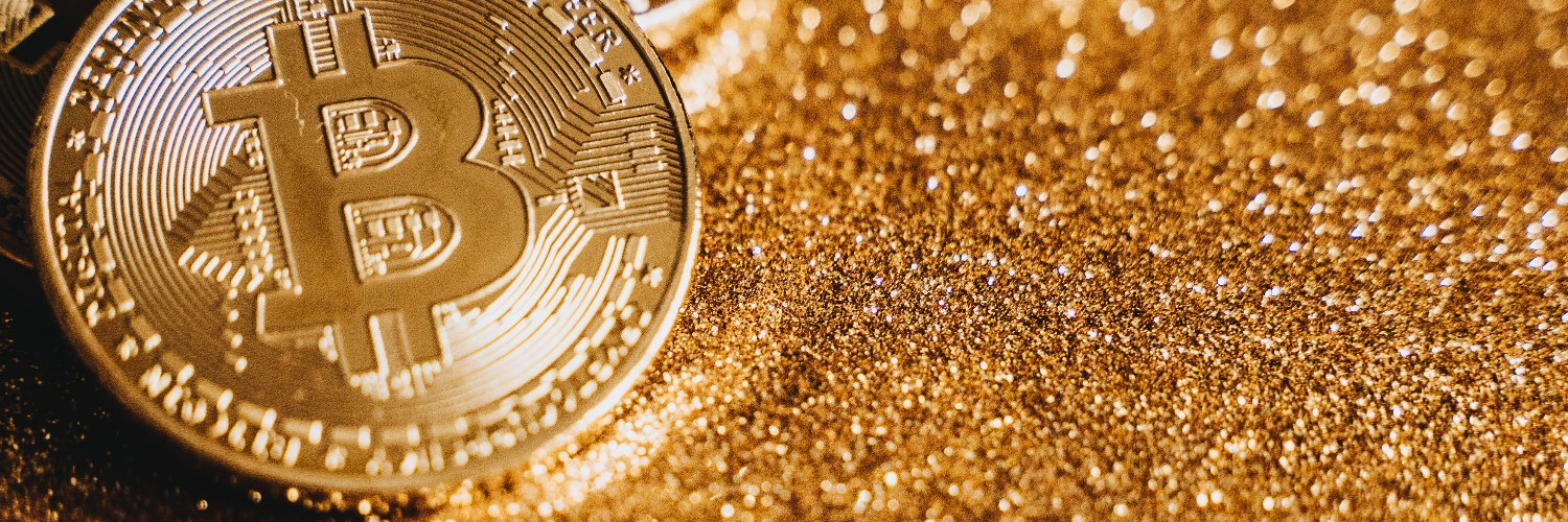 Lisa Mandolph ❤️ Memecoin 🐉 $MON banner