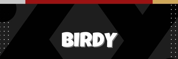 BirdyFNBR Profile Banner
