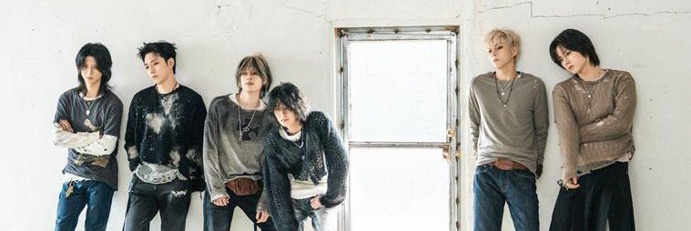 feevaries's profile banner image