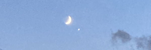 DiamondLogs Profile Banner