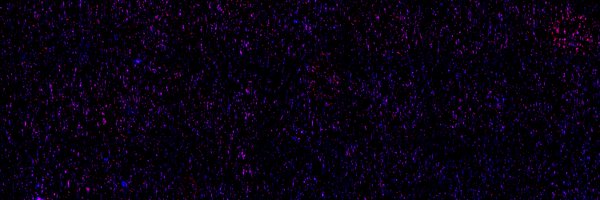 DoksaniLab Profile Banner