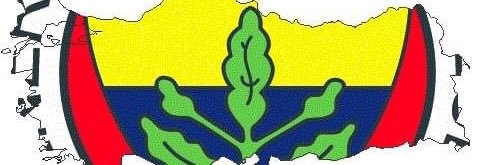 ceyhuntly's profile banner image