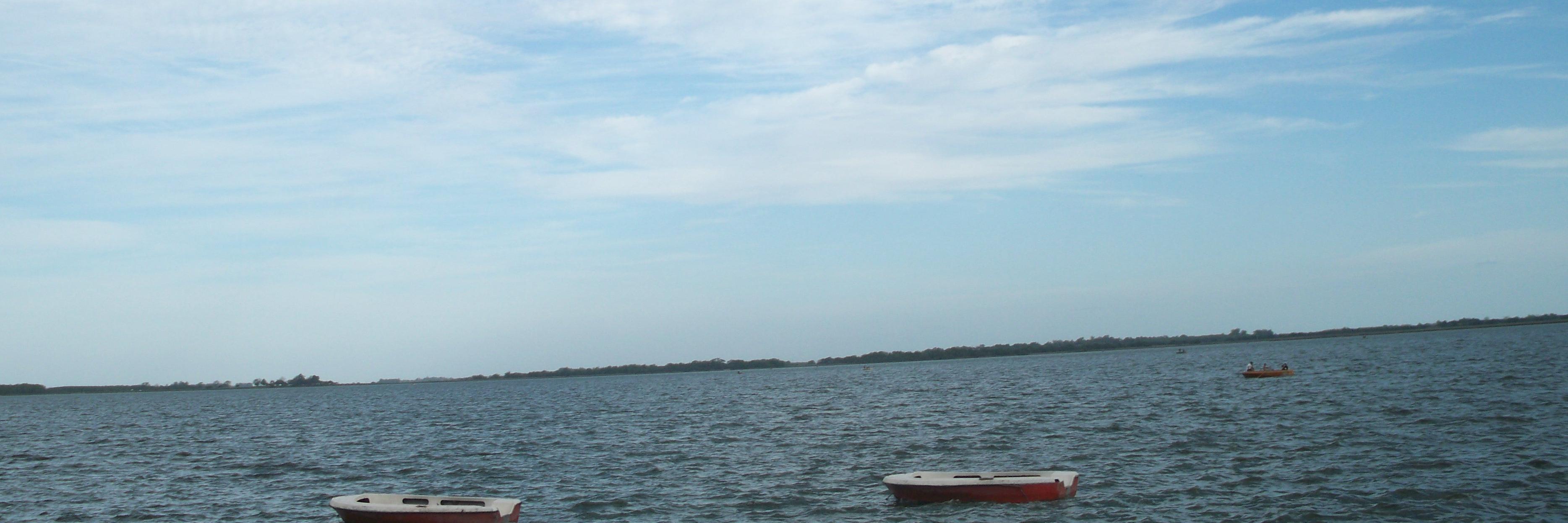 ly_urbina's profile banner image