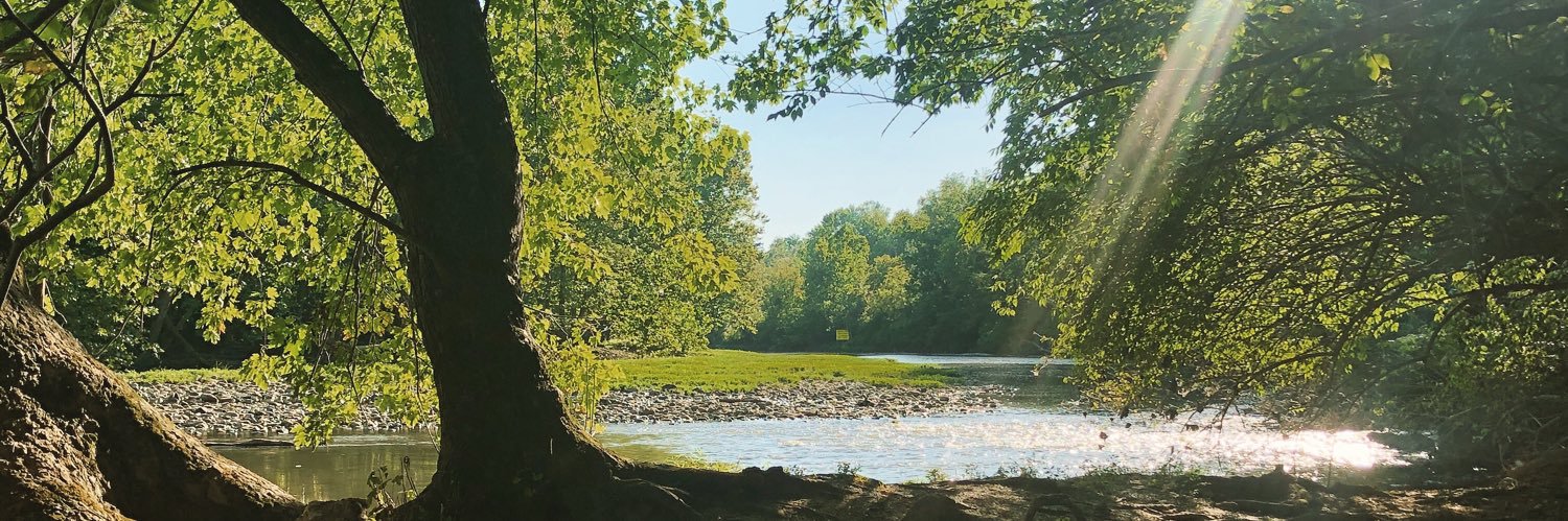 Amanda Fazekas banner