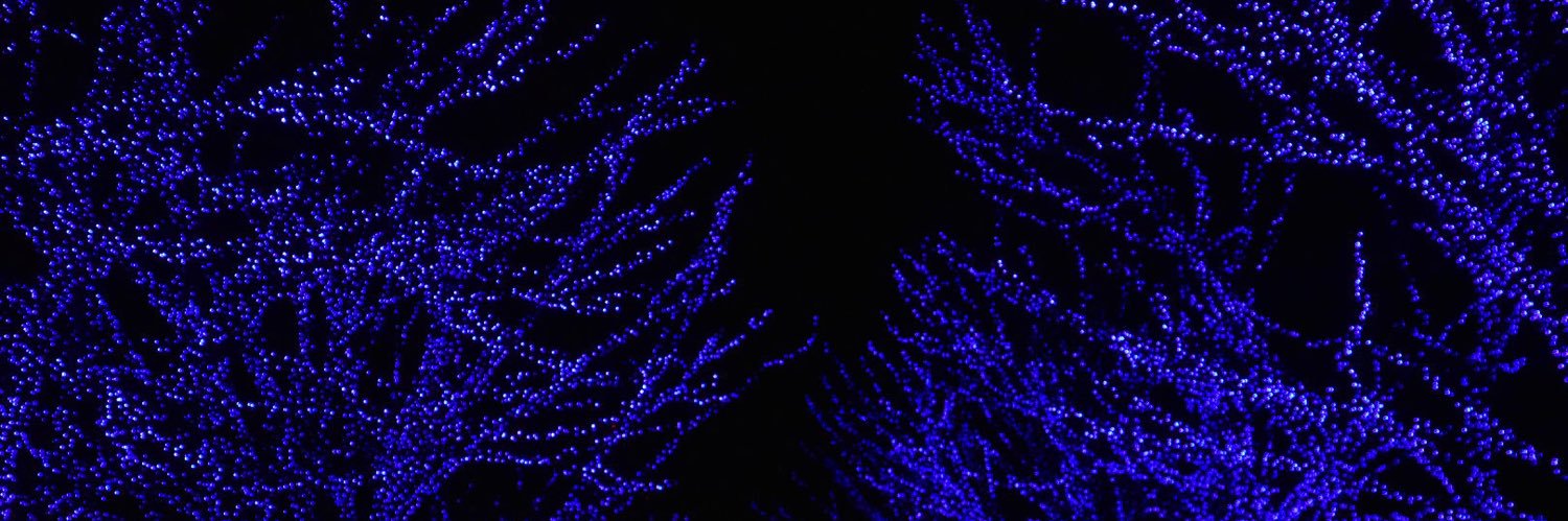 tmymjp's profile banner image