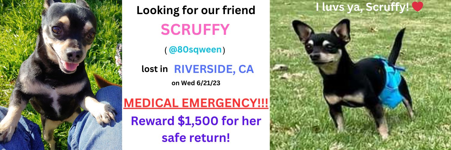 Lems the Golden 🐕 🆘 #BringScruffyHome's banner