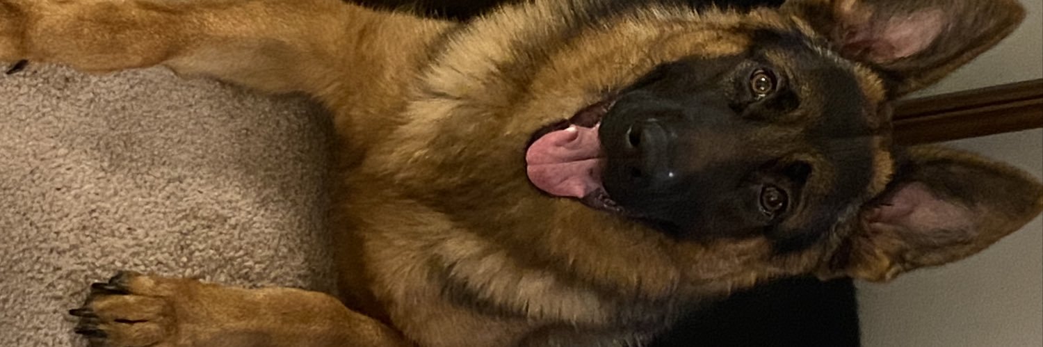 Alpha_Goodmoney's profile banner image