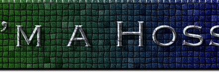 Im_A_Hoss's profile banner image