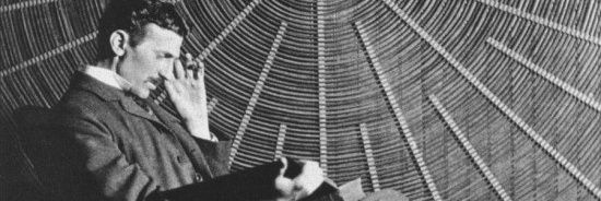 Beebarg banner