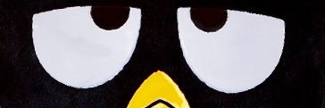 sptar4's profile banner image