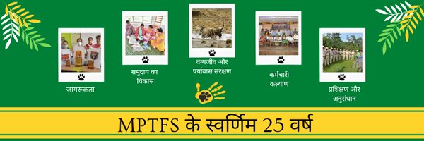 mptfs Profile Banner