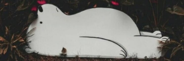 b6ing's profile banner image