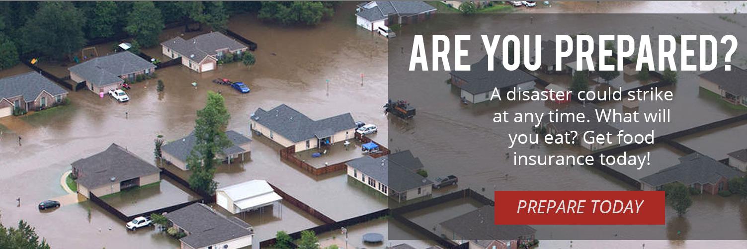 Food Insurance banner