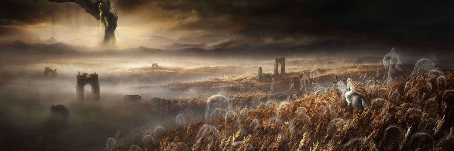 AmberVA banner