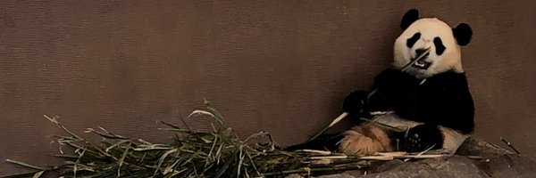 werepanda_jp Profile Banner