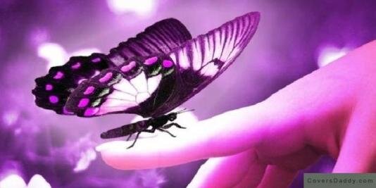 elsirodriguez's profile banner image